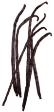 scrubgel vanille